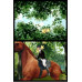 Игра для Nintendo DS Horse Live