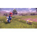 Pokemon Legends: Arceus для Nintendo Switch
