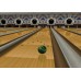 Игра для Nintendo Wii и WiiU Brunswick Pro Bowling